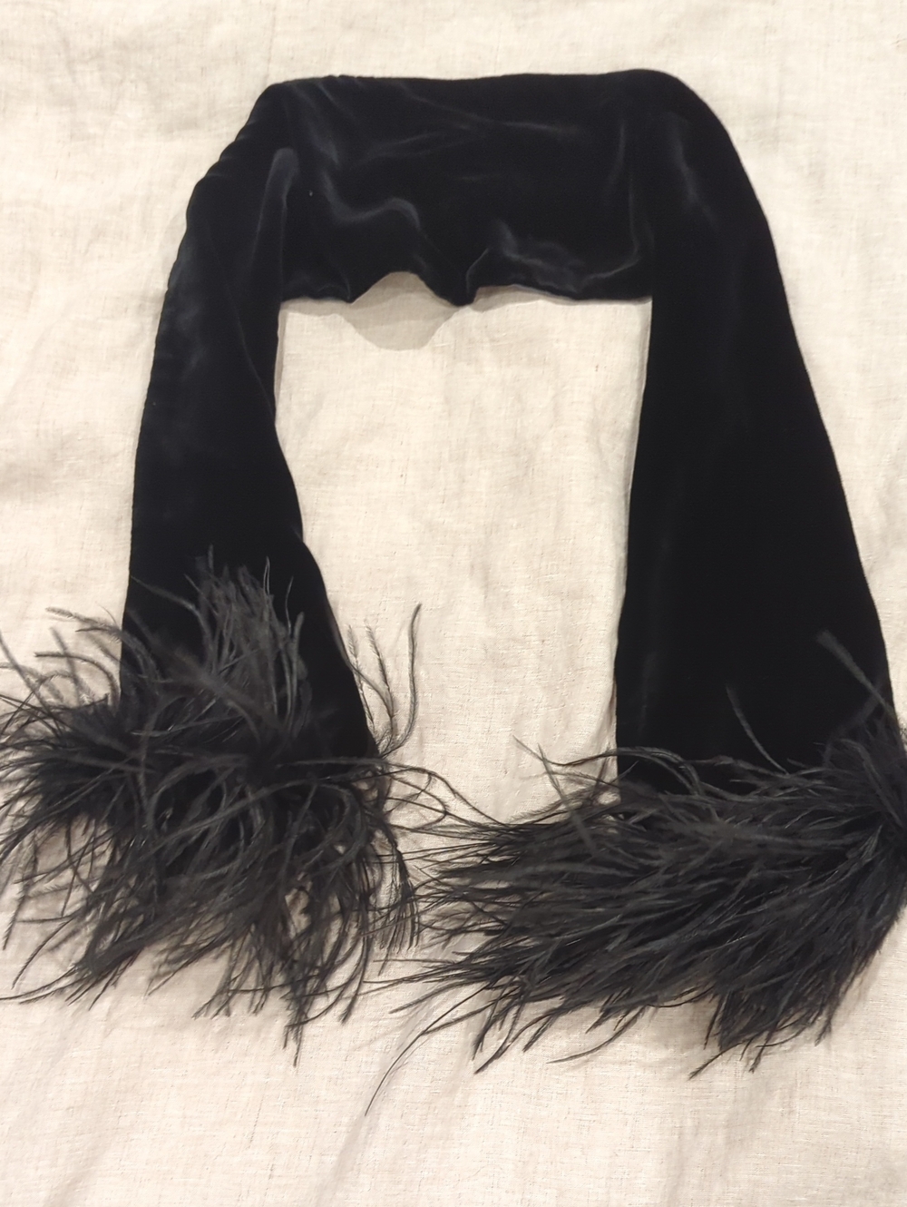 Black Feather Trim Velvet Scarf - Jil Dever